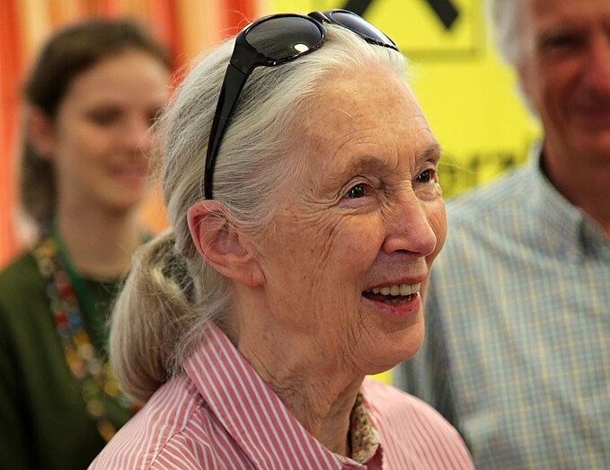 jane goodall