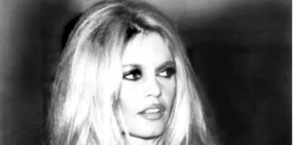 Mort de Brigitte Bardot : l’icône du cinéma français est décédée à 91 ans Brigitte Bardot