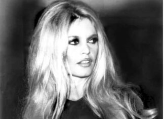 Mort de Brigitte Bardot : l’icône du cinéma français est décédée à 91 ans Brigitte Bardot